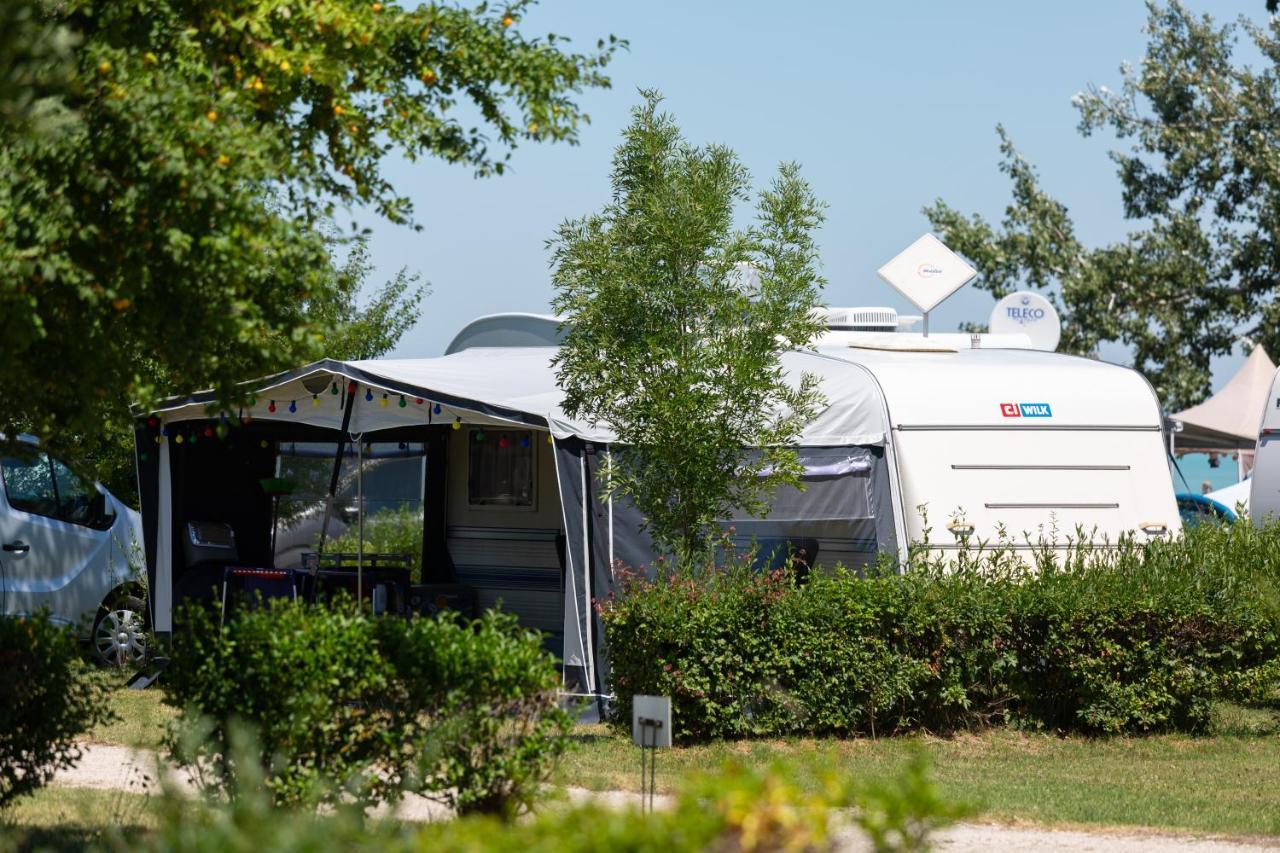 Empty spot 40-59 m2 tent or caravan
