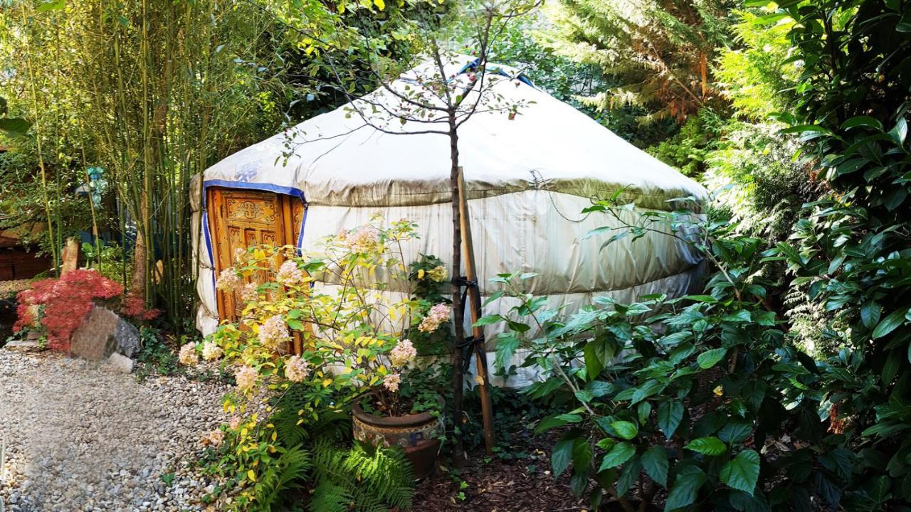 Yurt,1105941921:JPEG