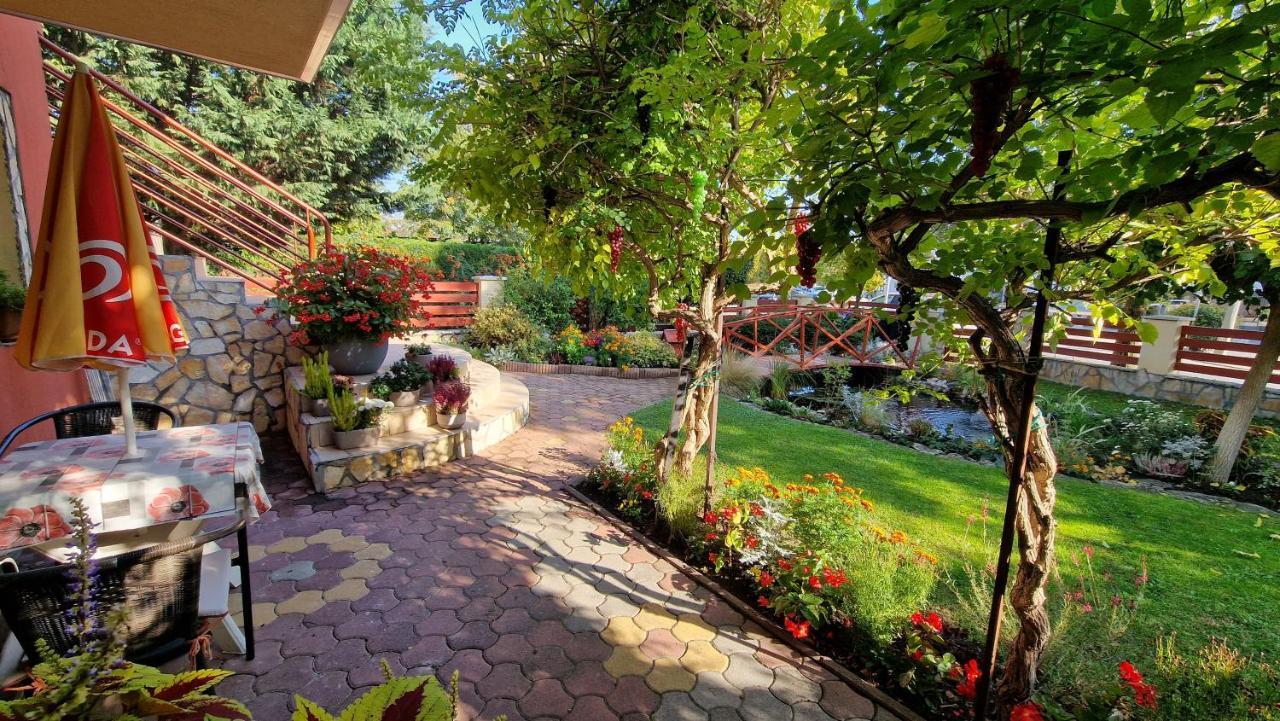 Studio Garden View