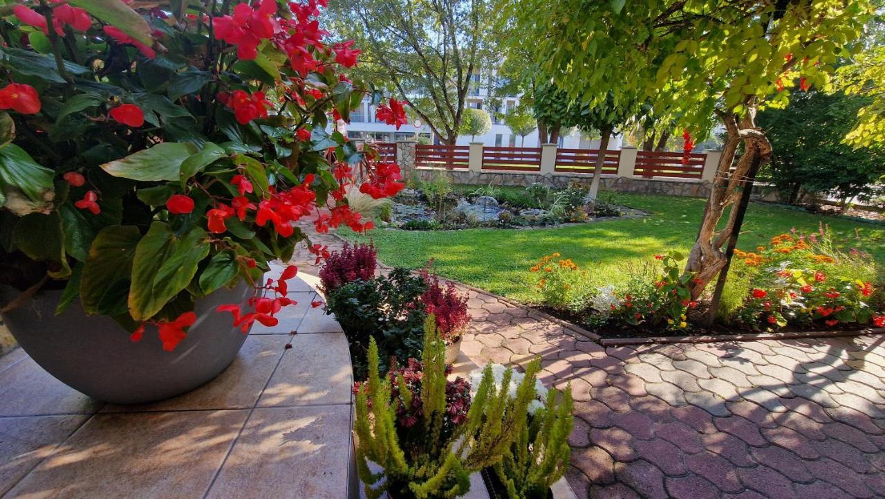 Studio Garden View