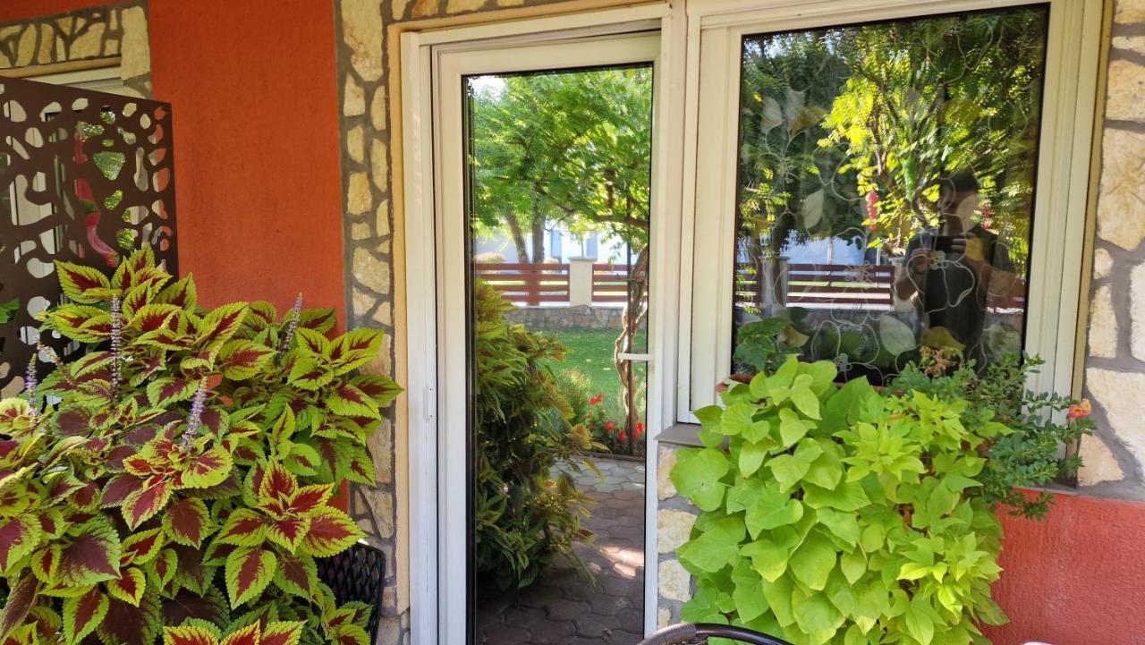 Studio Garden View