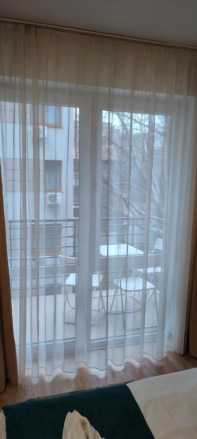 Studio Garden View