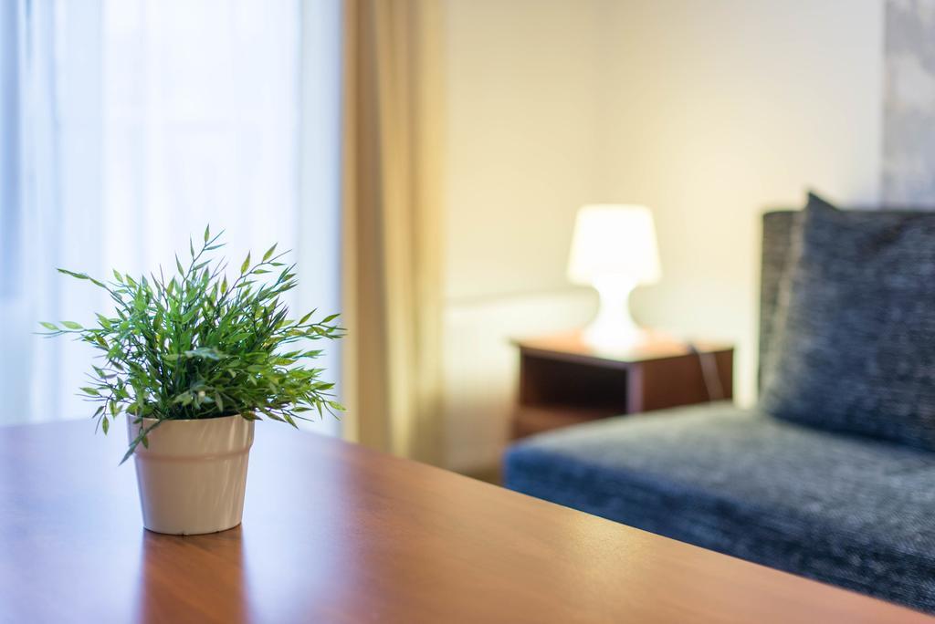 Deluxe One-Bedroom Apartment