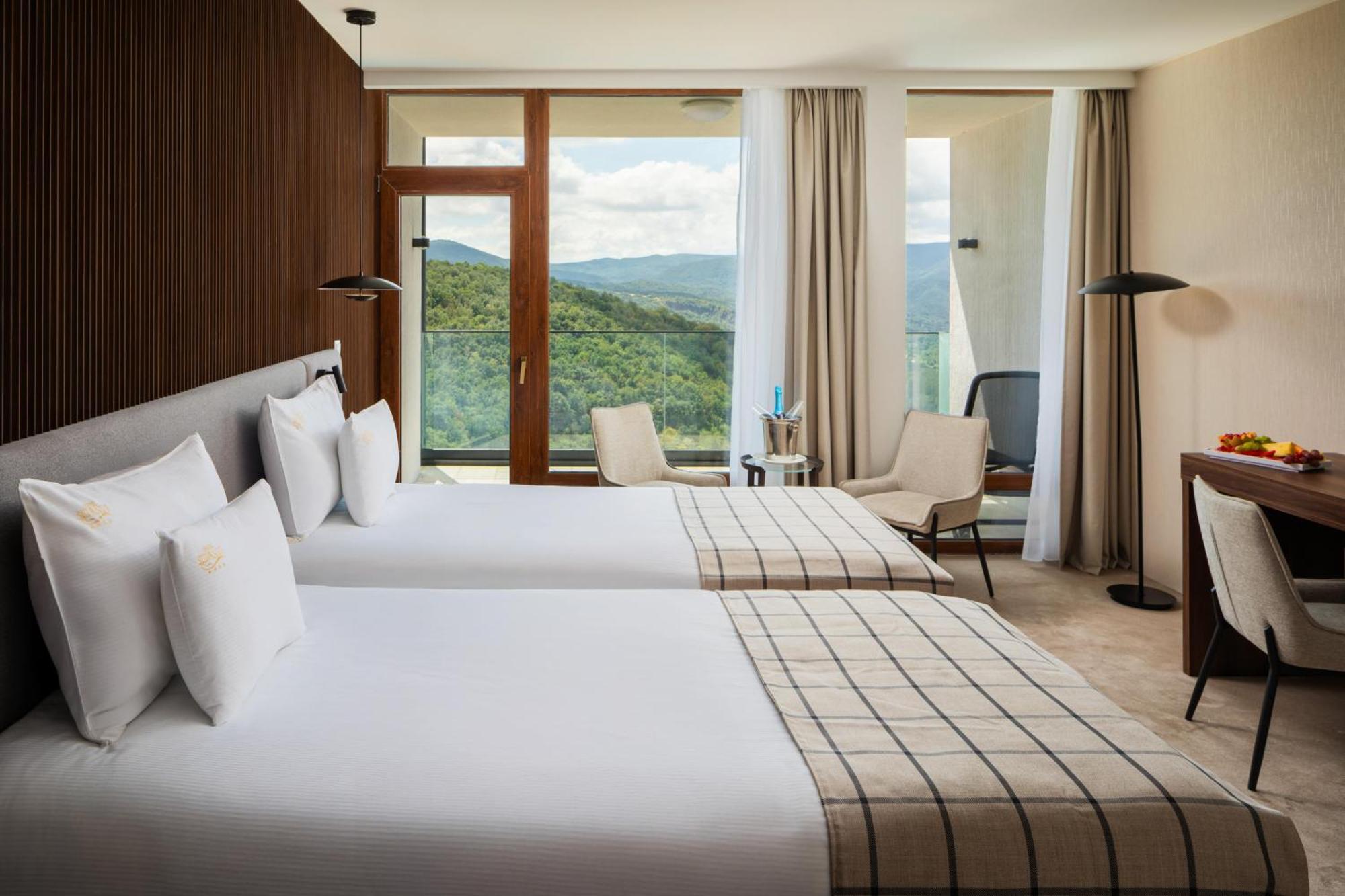 Superior Double or Twin Room Danube View