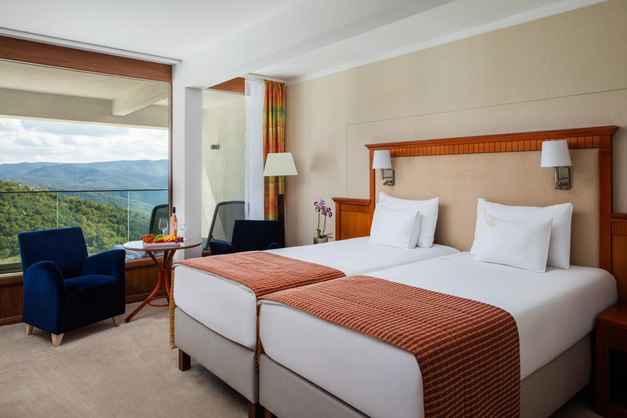 Superior Double or Twin Room Danube View