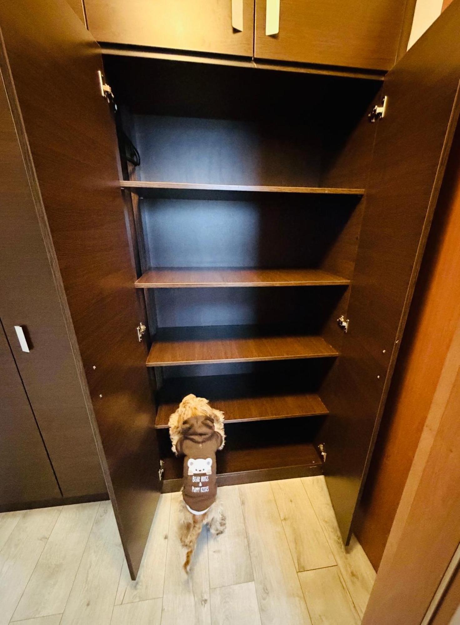 Superior One-Bedroom Apartment Air-conditioning