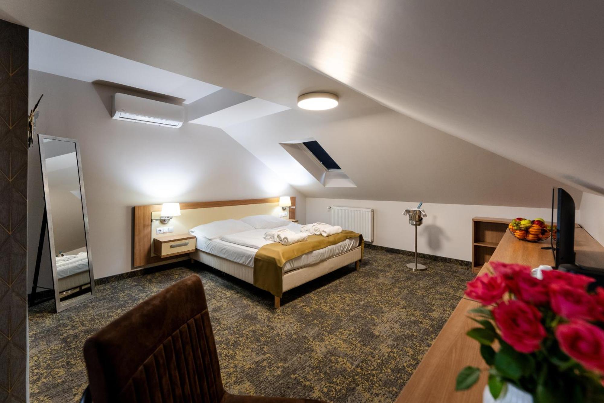 Standard Apartment Attic