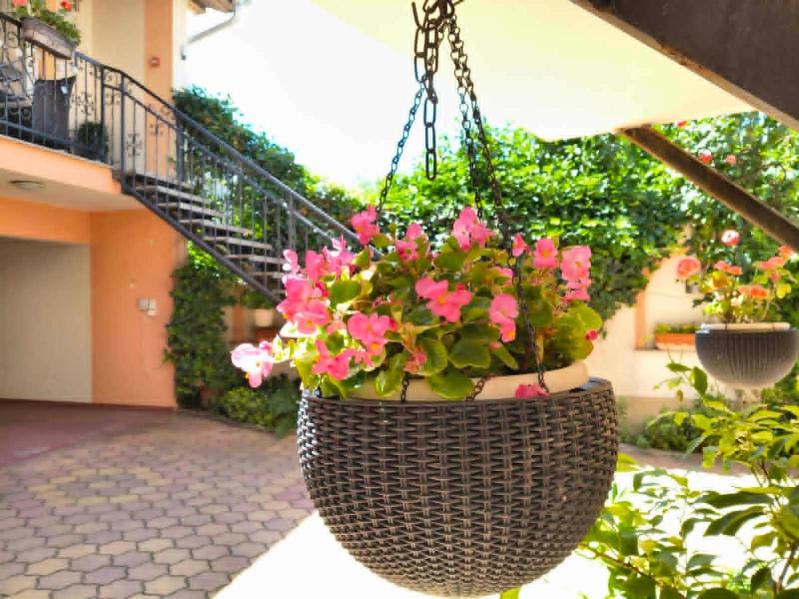 Single Room Balcony
