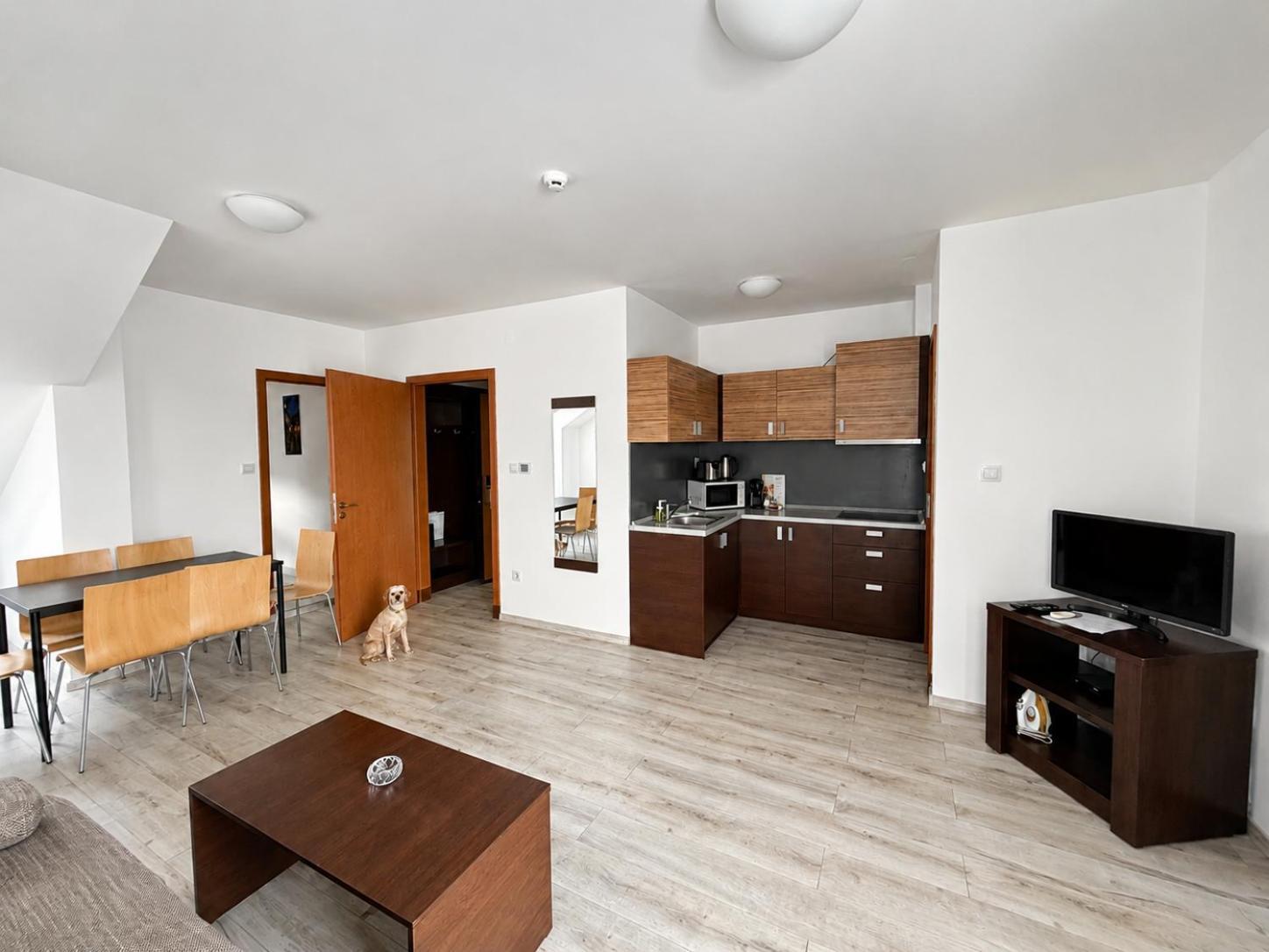 Deluxe Two-Bedroom Apartment Air-conditioning