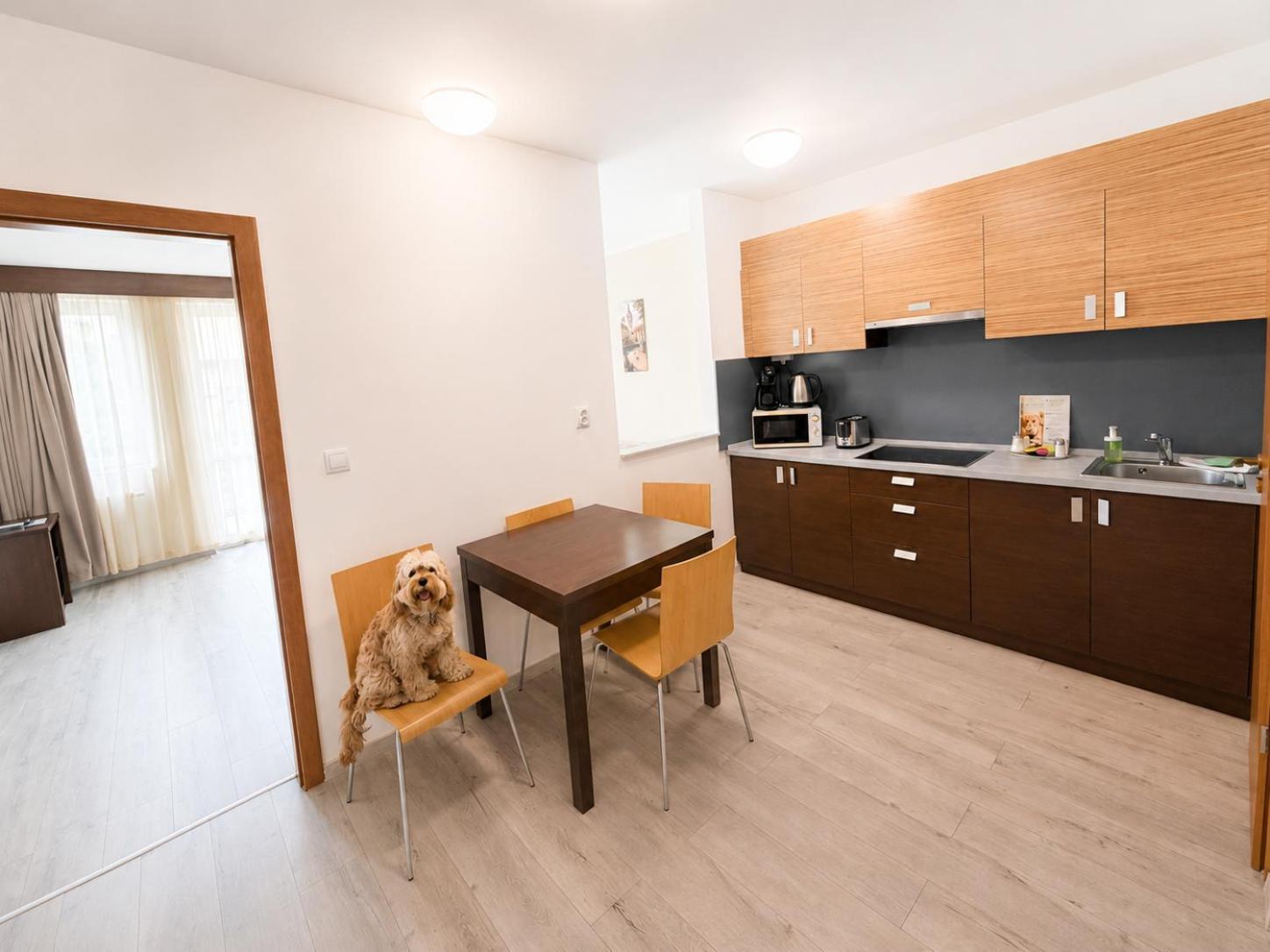 Superior One-Bedroom Apartment Air-conditioning