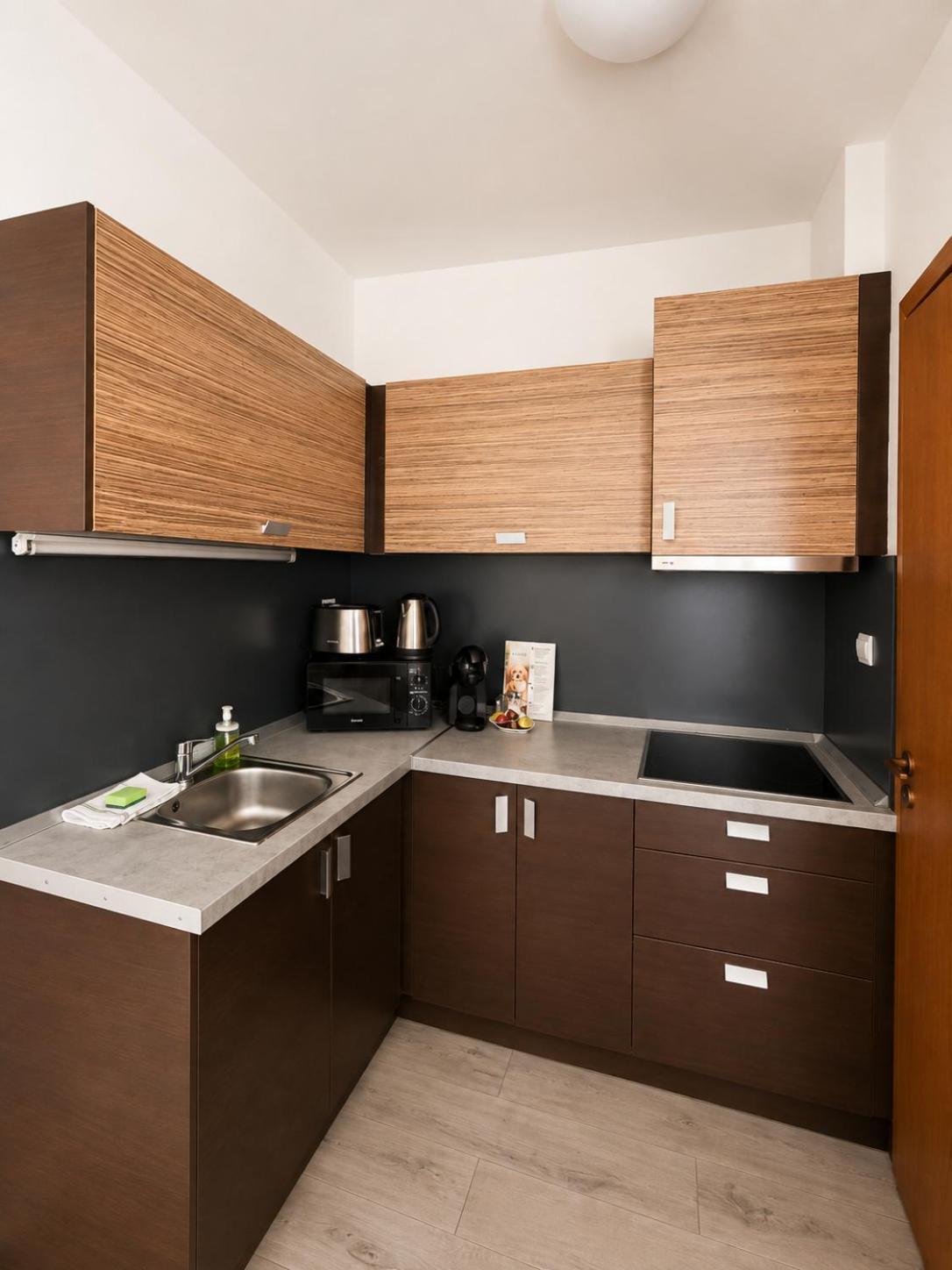 Deluxe Two-Bedroom Apartment Air-conditioning