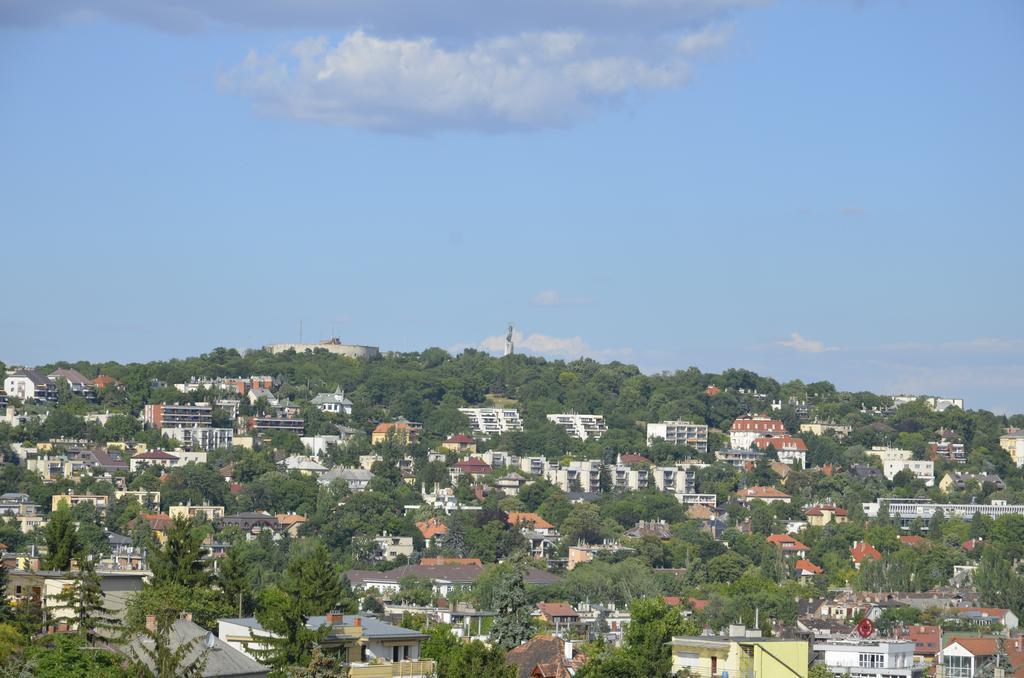 Double Room Mountain View