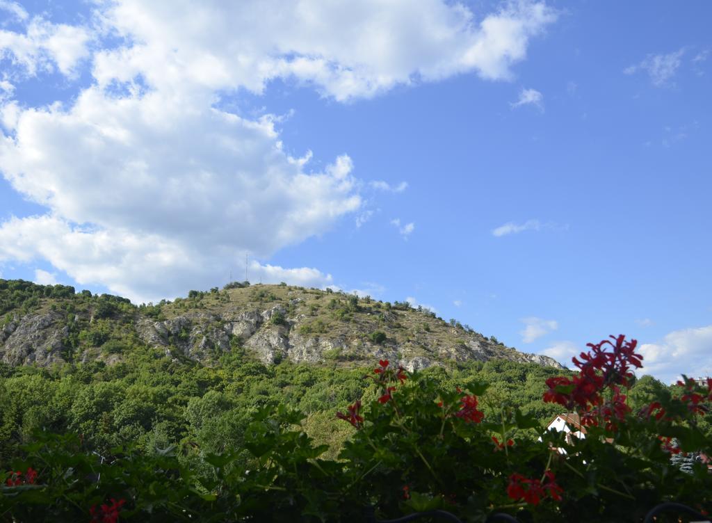 Double Room Mountain View