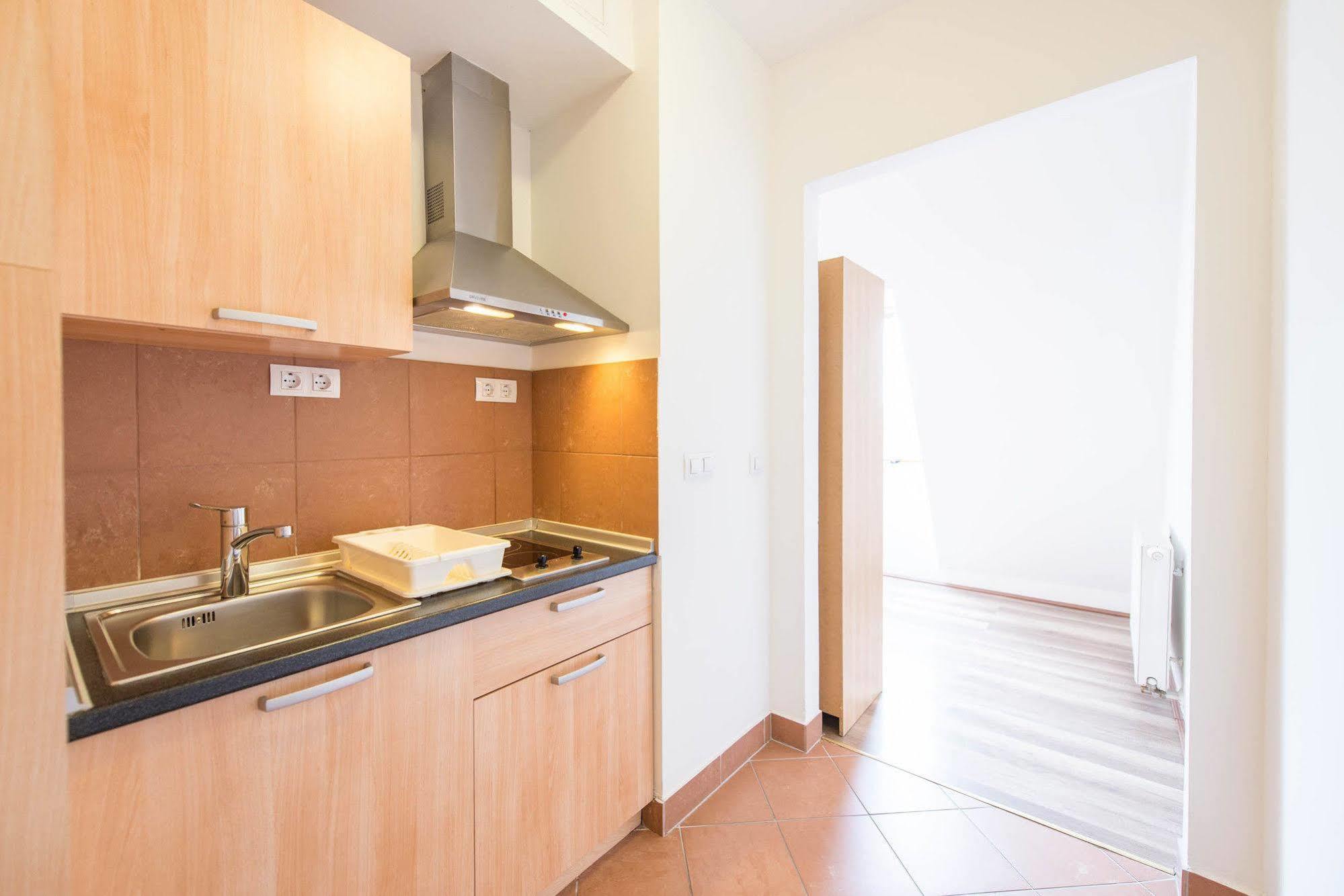 Deluxe One-Bedroom Apartment