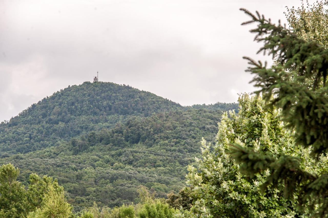 Superior Apartment,1498538233:JPEG