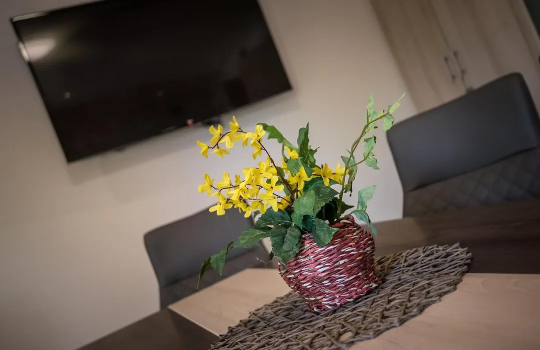 Mokka Apartman Szeged-1