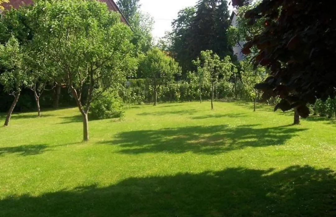 Ferienhaus Fuer 4 Personen 1 Kind Ca 36 M In Budapest-Bezirk 2, Zentralungarn Buda-1