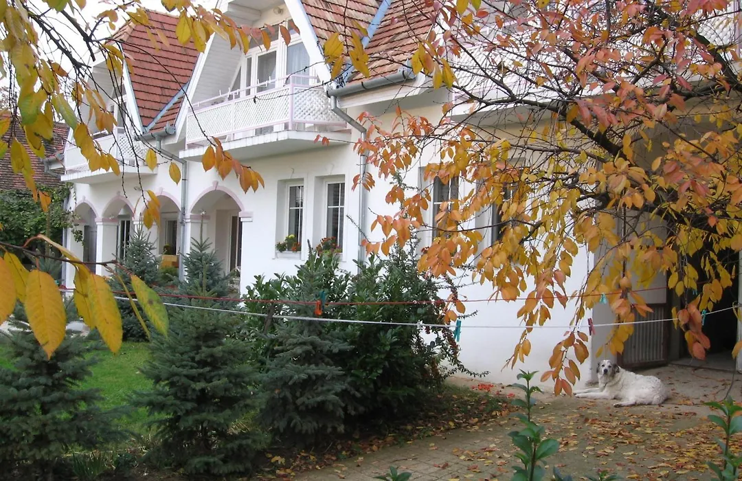 Pension Ovari-1