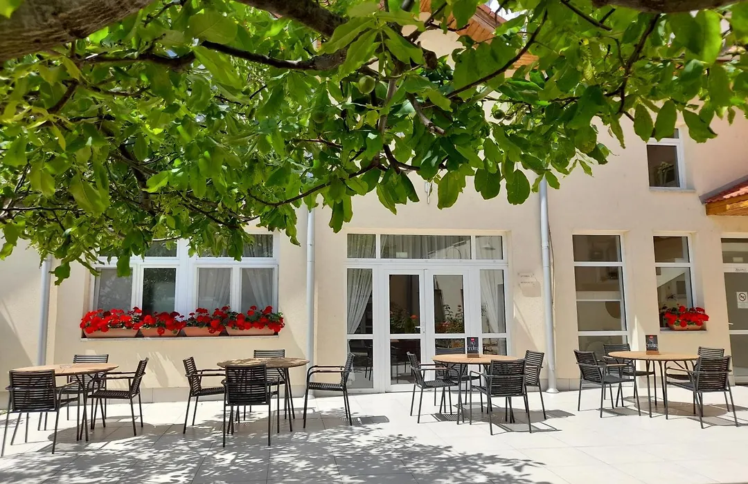 Hotel Platan-1