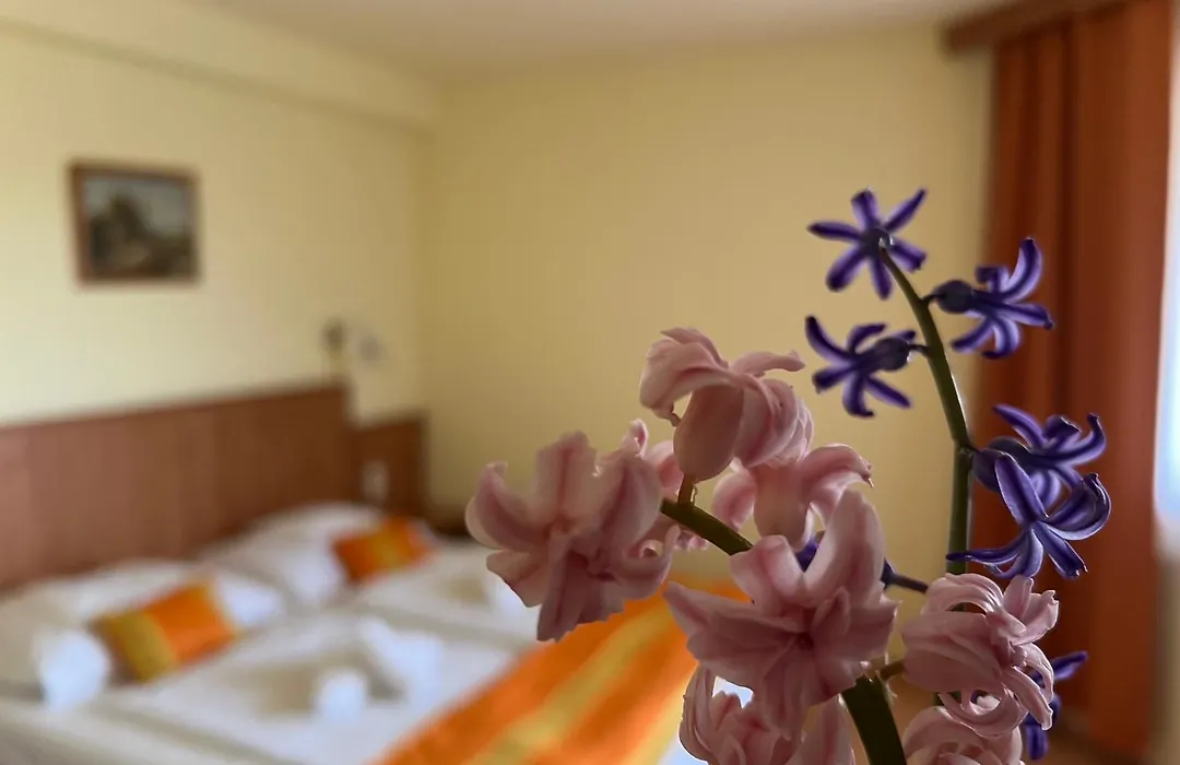 Aqua Therm Villa - Hotel Zalakaros-1