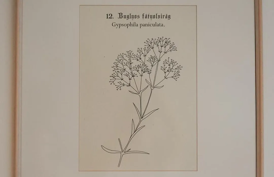 Erhardt Panzió-1