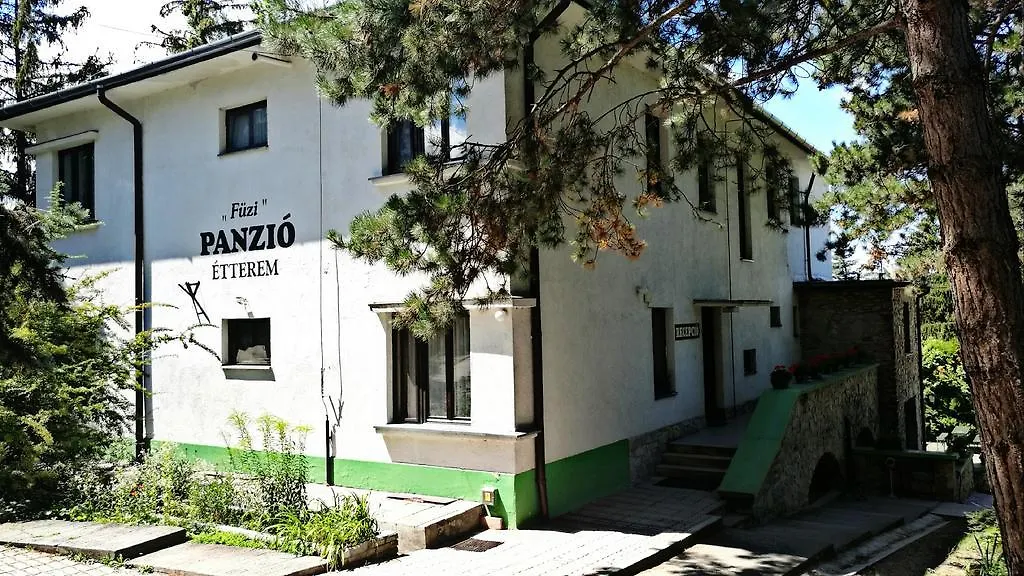 Fuezi Panzio-1