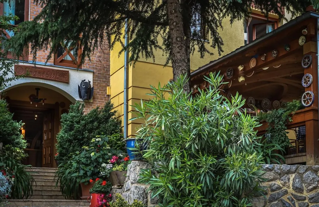 Bagolyvar Panzio-1