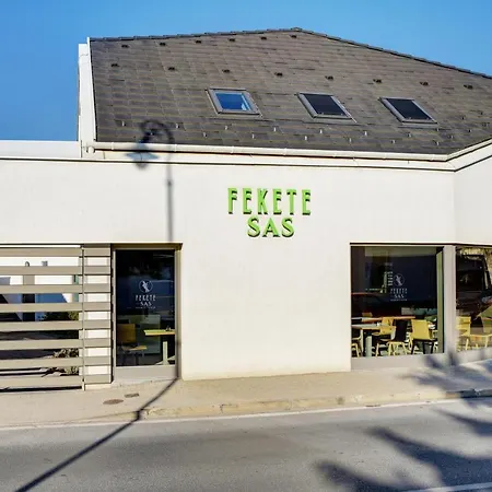 Fekete Sas Motel-3
