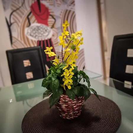 Mokka Apartman Szeged-3