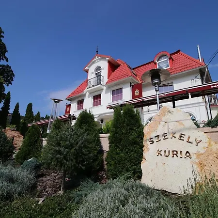 Szekely Kuria-3