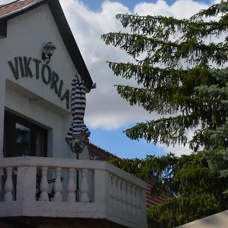 Hotel Viktoria-2