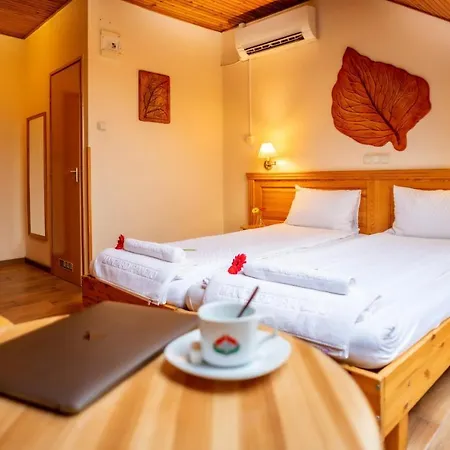 Hotel Manzard Panzio-2