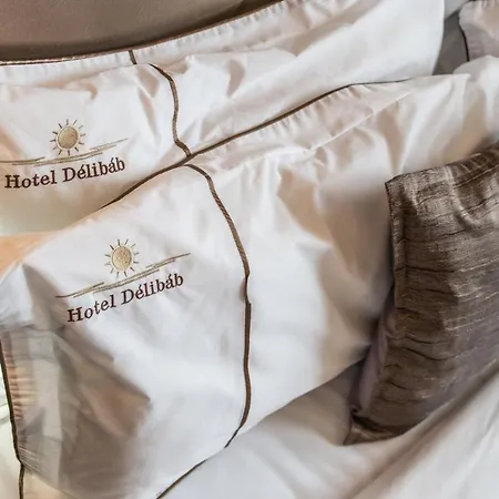 Hotel Delibab-2