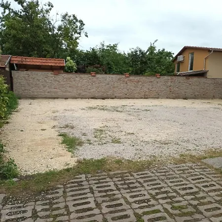 Pilota Panzio-2