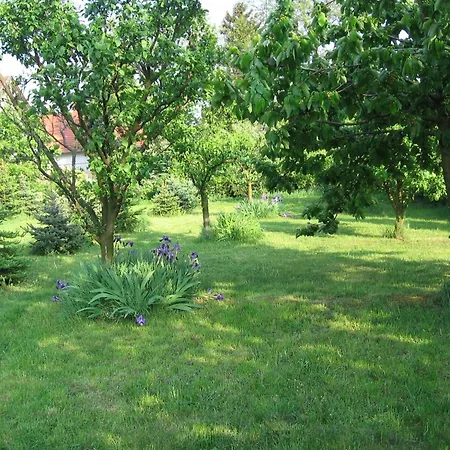 Pension Ovari-3