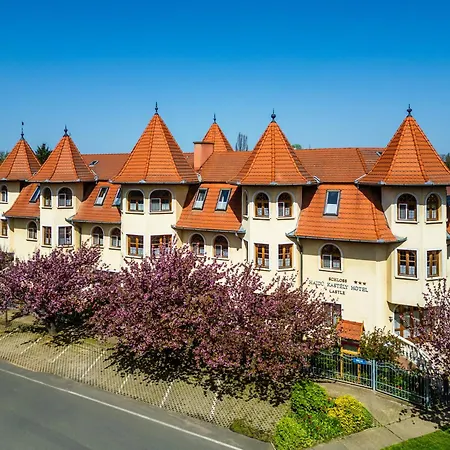 Hajdu Kastely Hotel-3