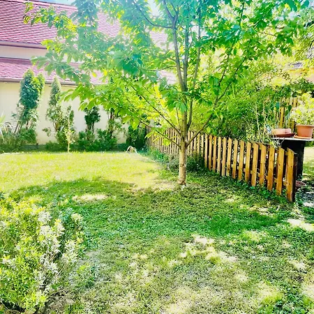 Villa Lux-3