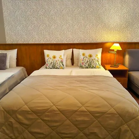 Hotel Isabell Gyor-3