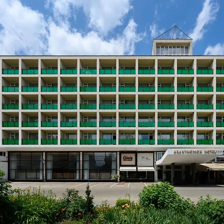 Aranyhomok Hotel Business & Relax-3