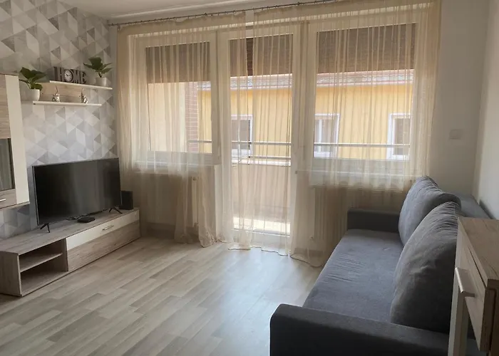 Pet friendly Simonffy Central Apartment Debrecen