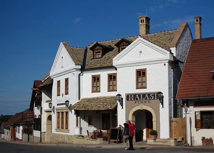 Halasi Pince Panzio Villany