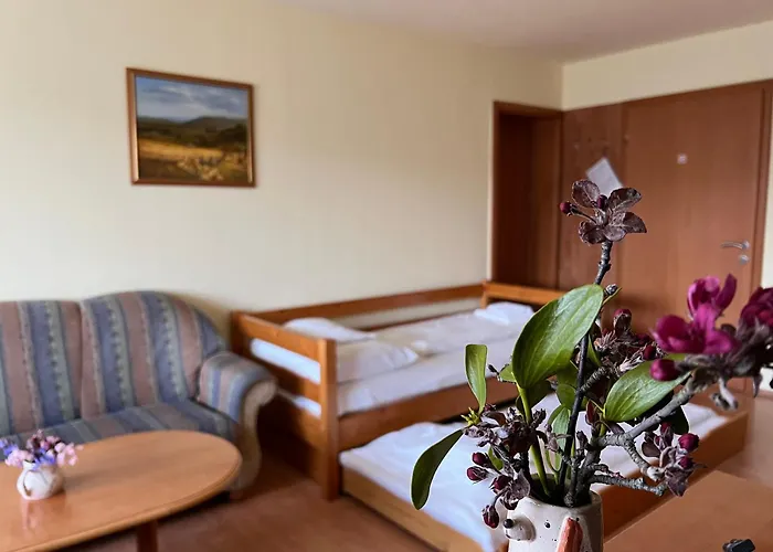 Aqua Therm Villa - Hotel Zalakaros