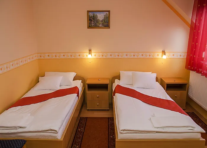 Arany Patko Pension Debrecen