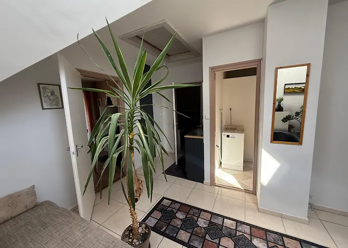 Hotel Kovacs Vendeghaz Bük