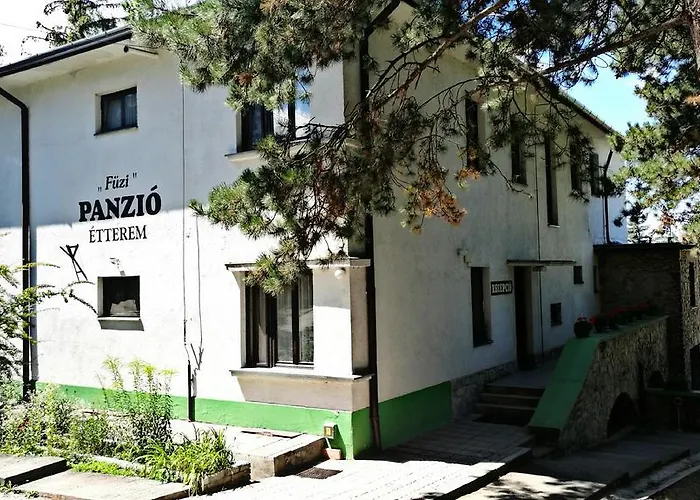 Bed and Breakfast Fuezi Panzio Ödenburg